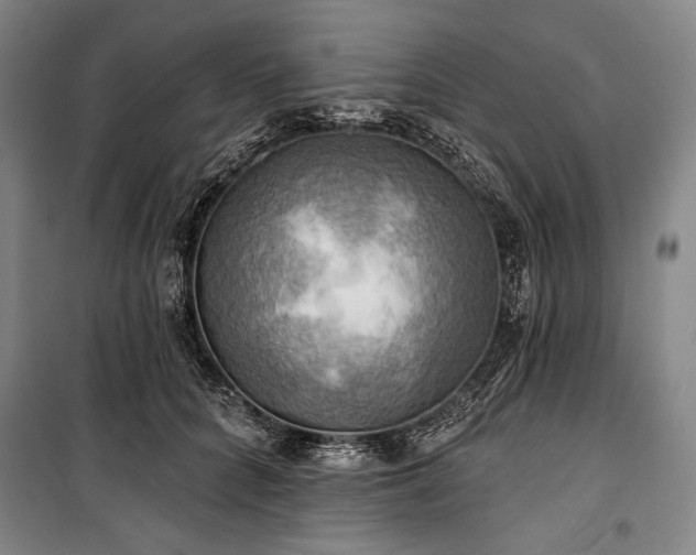X0000101160704200806271009
