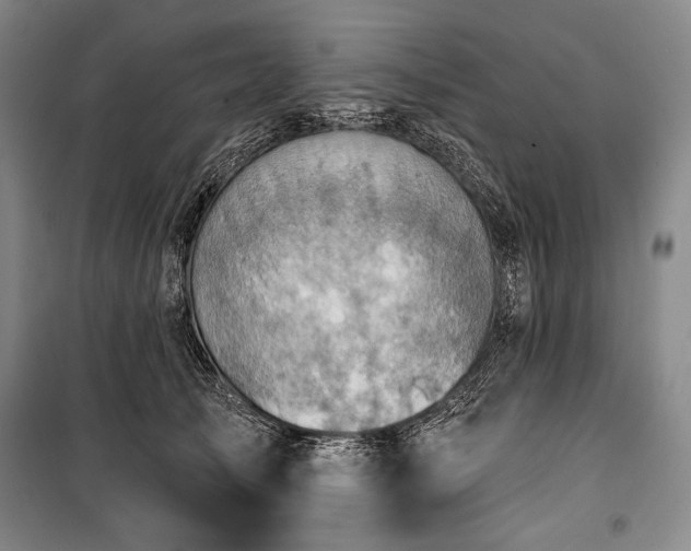X0000101160705200806271009