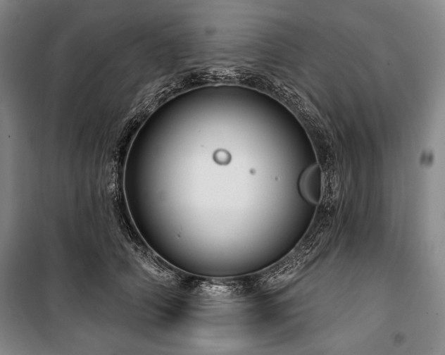 X0000101160706200806271009