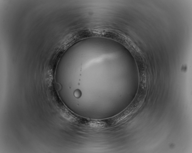 X0000101160707200806271009