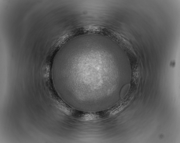 X0000101160708200806271009