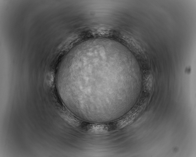 X0000101160709200806271009