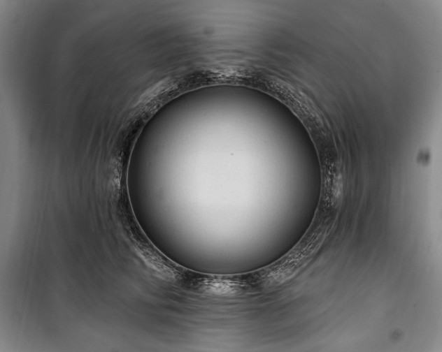 X0000101160710200806271009