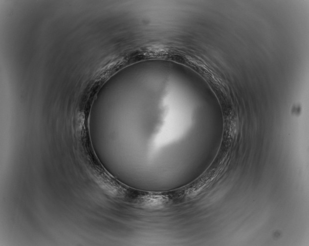X0000101160711200806271009