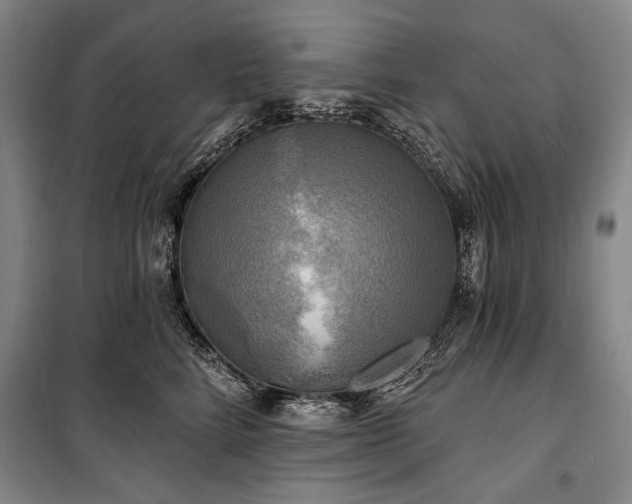 X0000101160712200806271009