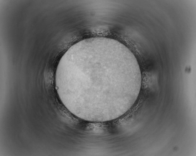 X0000101160713200806271009