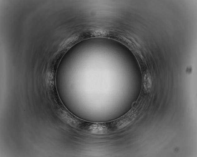 X0000101160714200806271009