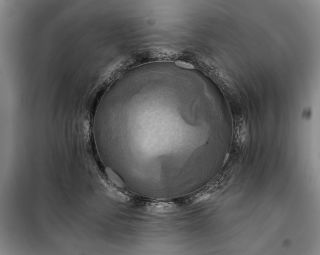 X0000101160716200806271009