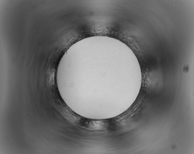 X0000101160717200806271009