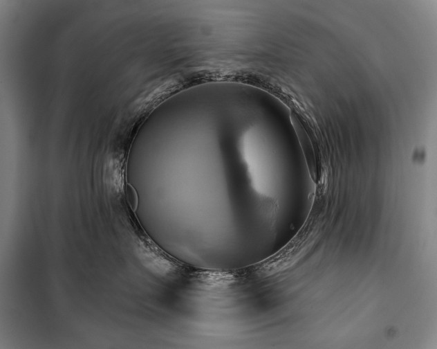 X0000101160719200806271009
