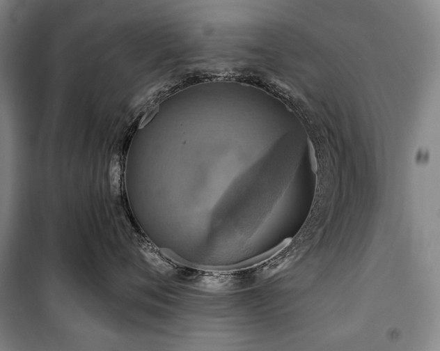 X0000101160720200806271009