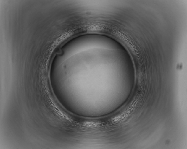 X0000101160721200806271009
