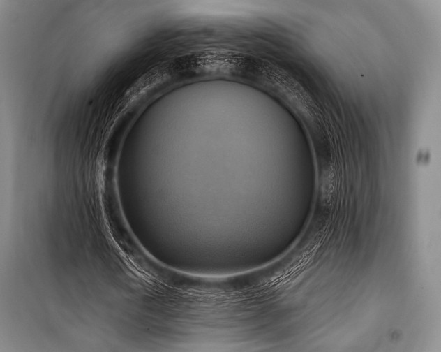 X0000101160722200806271009