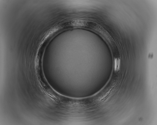 X0000101160723200806271009