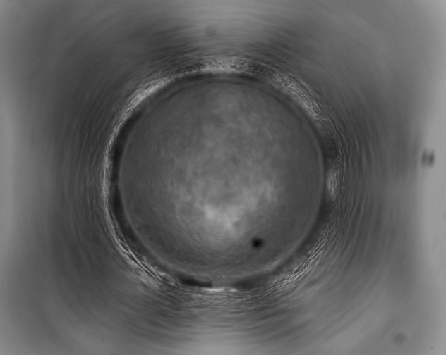 X0000101160724200806271009