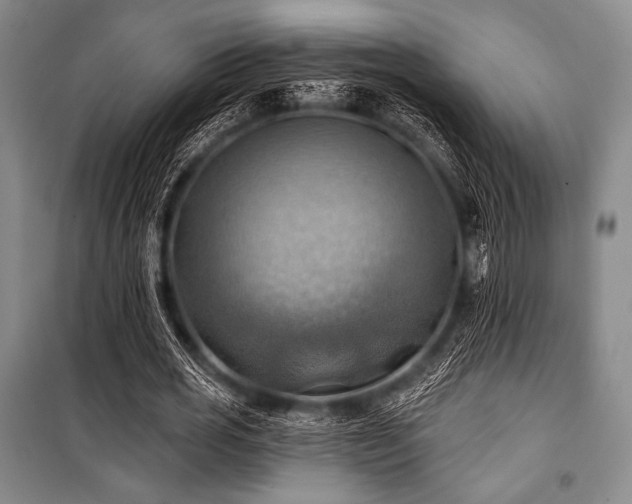 X0000101160725200806271009