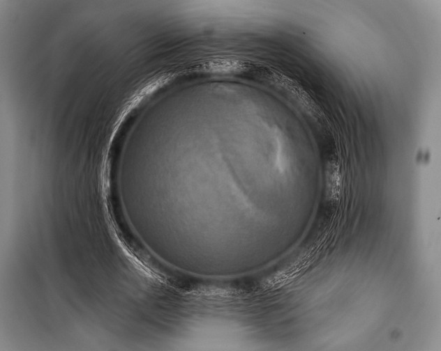 X0000101160726200806271009