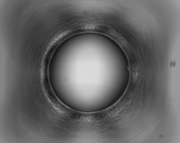 X0000101160728200806271009