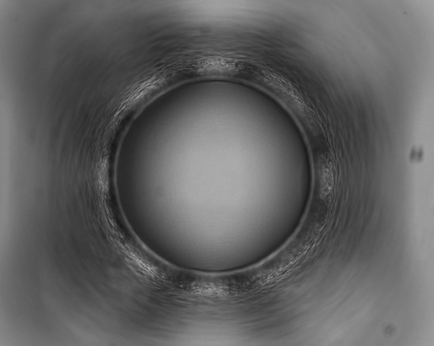 X0000101160729200806271009