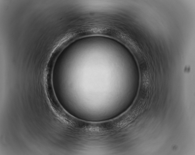 X0000101160730200806271009