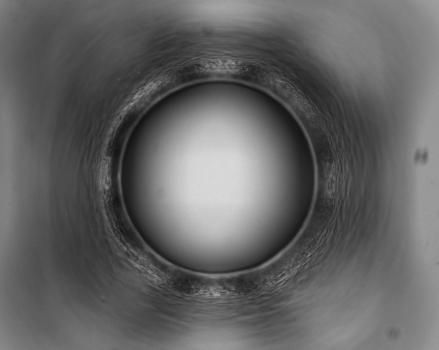 X0000101160731200806271009