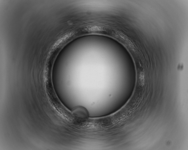 X0000101160732200806271009