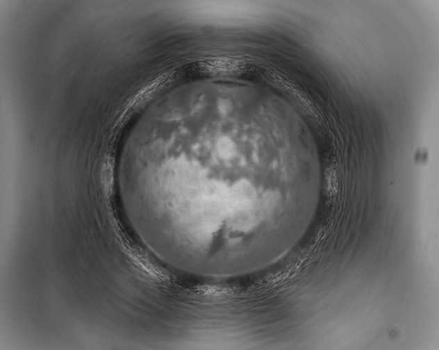 X0000101160733200806271009