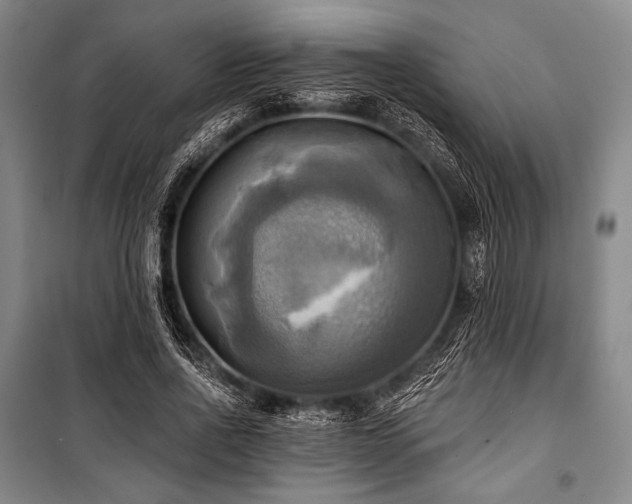 X0000101160734200806271009