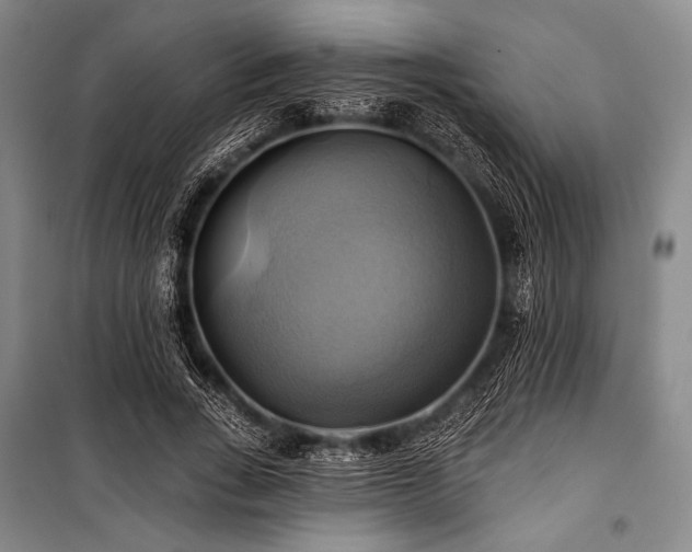 X0000101160735200806271009