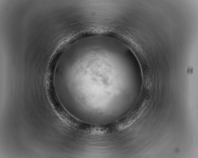 X0000101160736200806271009