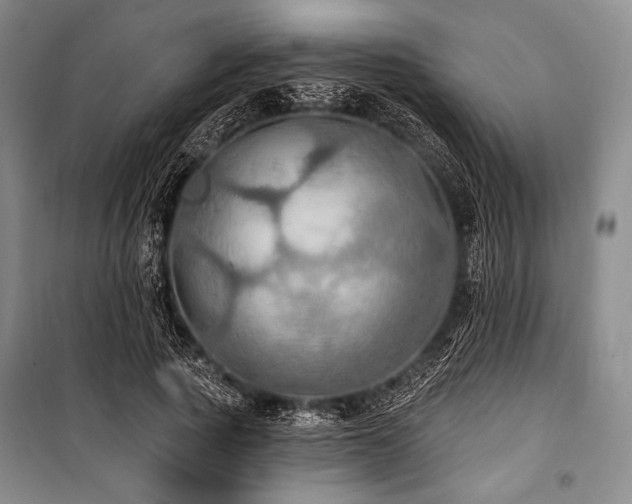X0000101160737200806271009