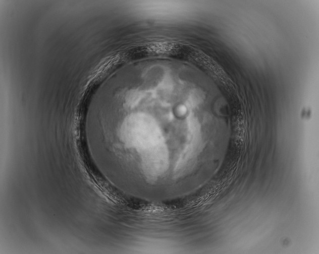 X0000101160738200806271009