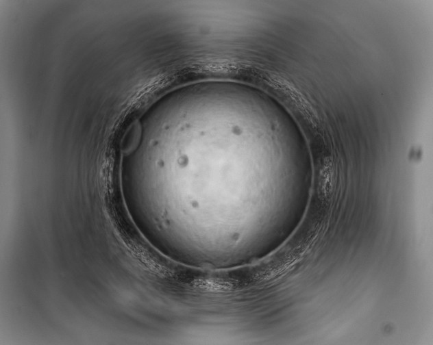 X0000101160739200806271009