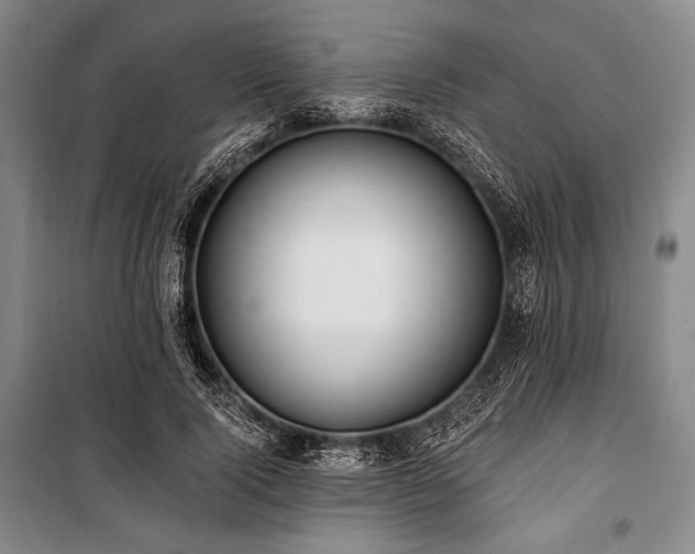 X0000101160740200806271009