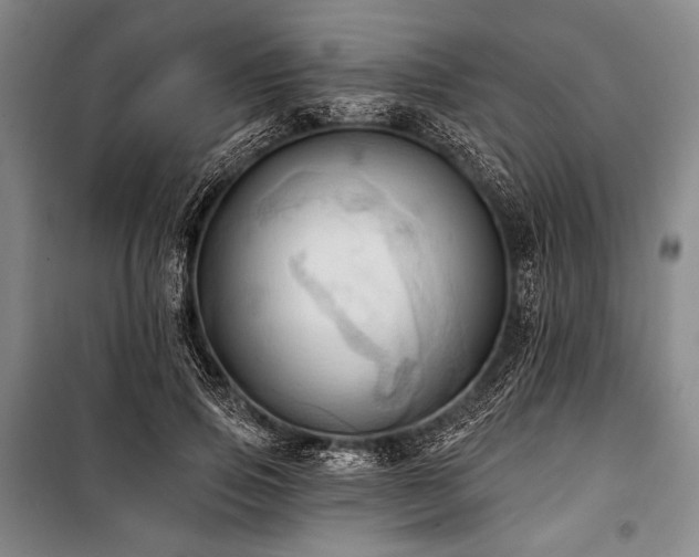 X0000101160741200806271009