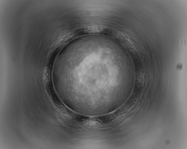 X0000101160743200806271009