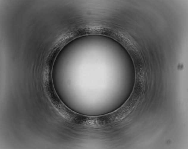 X0000101160744200806271009