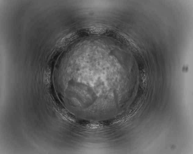 X0000101160745200806271009