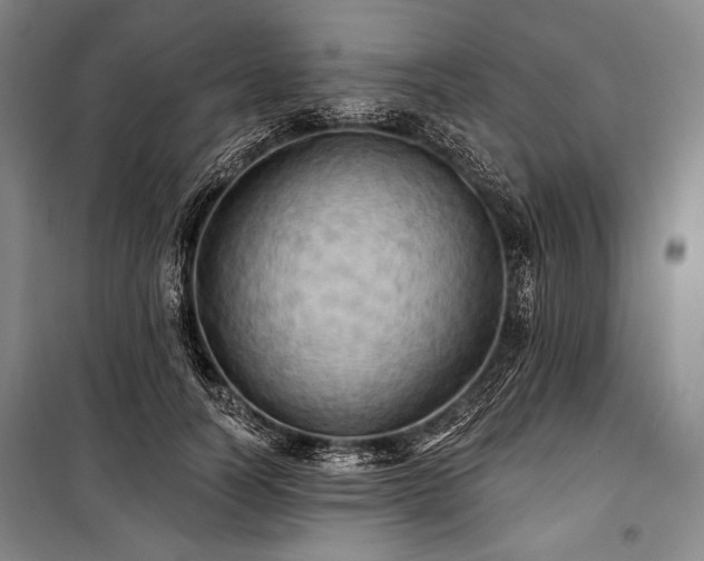 X0000101160746200806271009