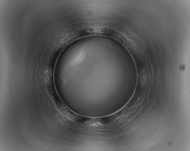 X0000101160747200806271009