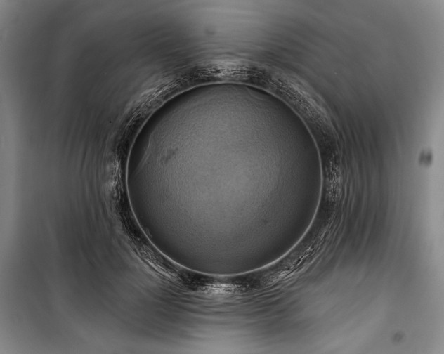 X0000101160748200806271009