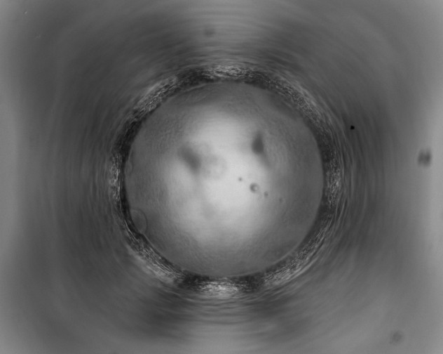 X0000101160749200806271009