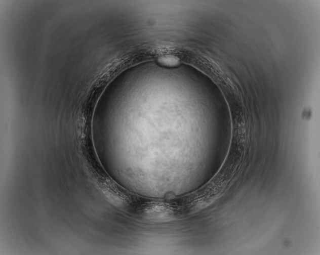 X0000101160750200806271009