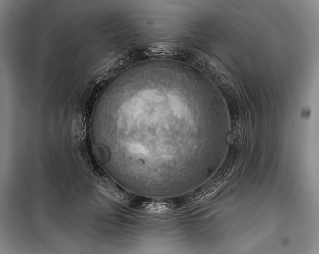X0000101160751200806271009