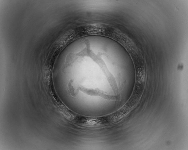 X0000101160753200806271009