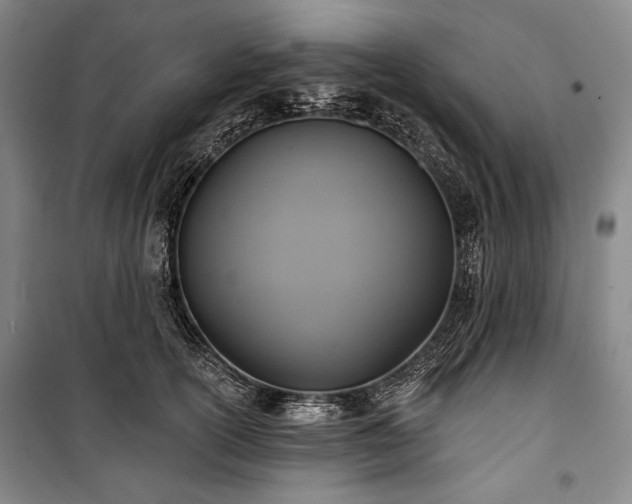 X0000101160754200806271009