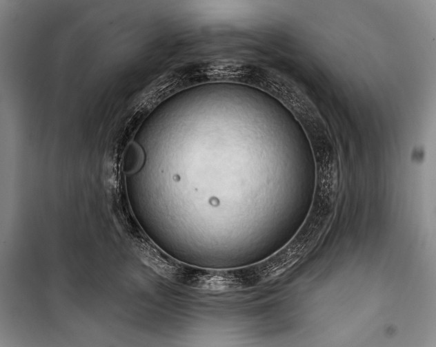 X0000101160755200806271009