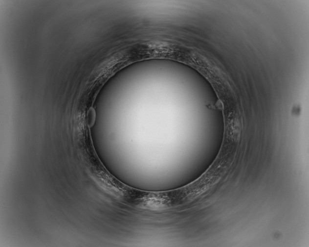 X0000101160756200806271009