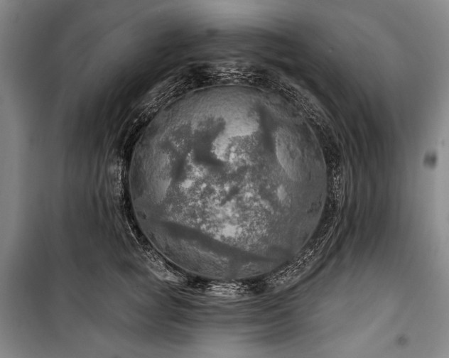 X0000101160757200806271009
