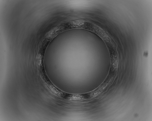 X0000101160758200806271009